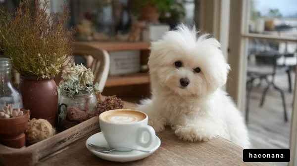カフェでリラックスする犬