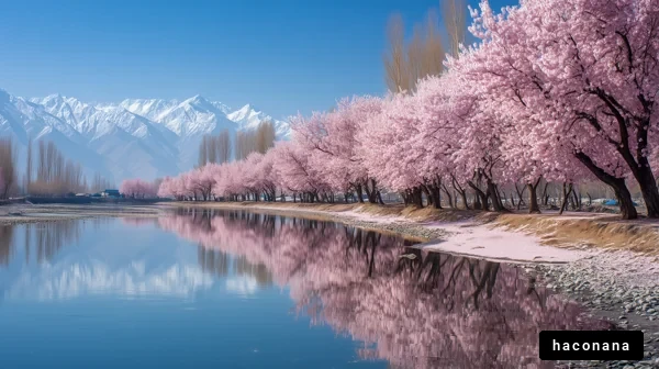 春の桜並木と山々