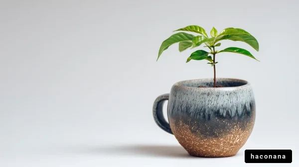 マグカップに植えられた植物