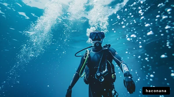 海中のダイバーの姿