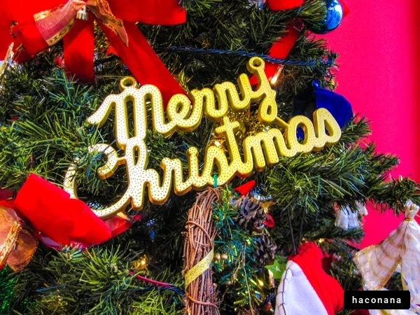クリスマスツリーの飾り