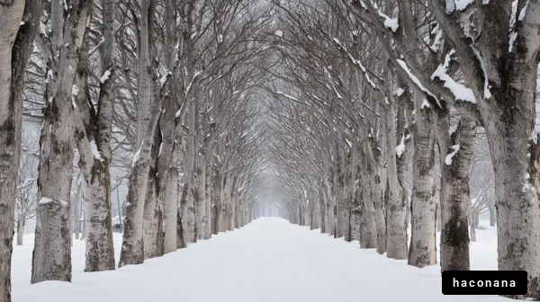 雪景色の並木道