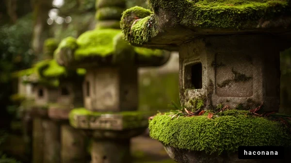 苔むした灯籠の風景