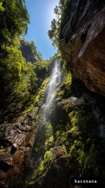 美しい滝の風景