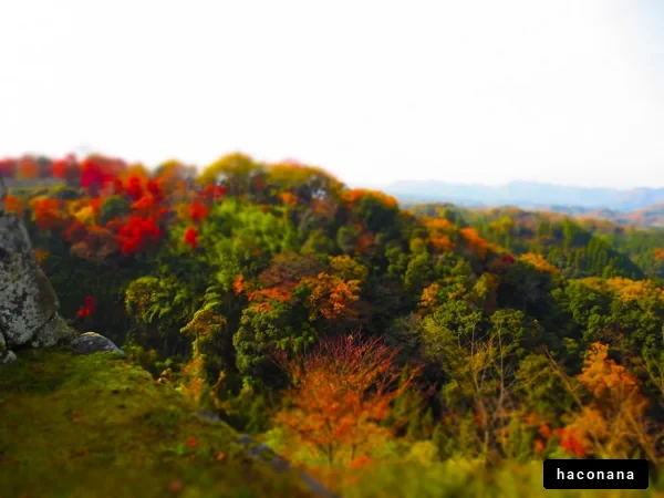 紅葉の美しい風景