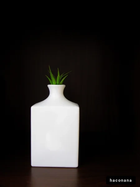 シンプルな花瓶と植物