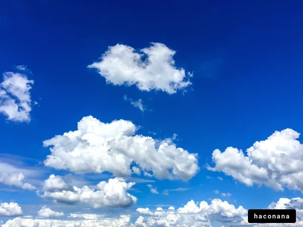 青空と白い雲