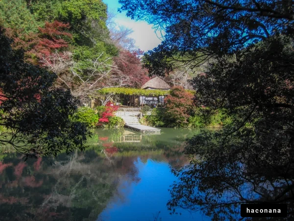 静かな池の風景
