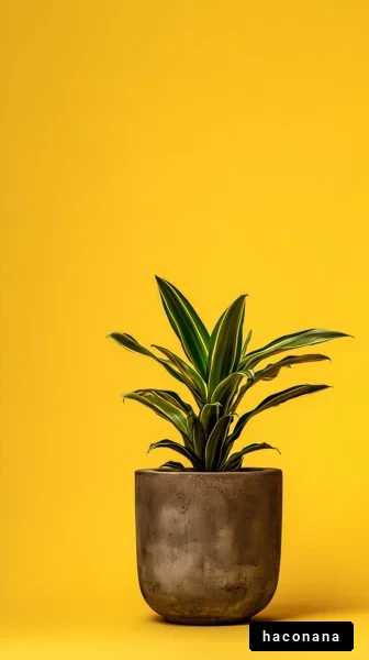 鮮やかな黄色の背景の植物