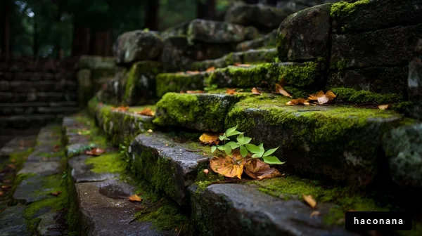 苔むした石段の風景