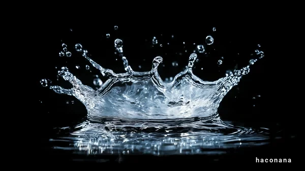水しぶきの美しい瞬間