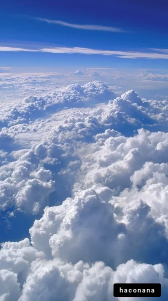 青空に浮かぶ雲海