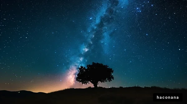 星空と木のシルエット