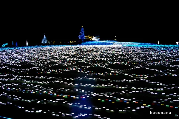 幻想的なイルミネーション風景