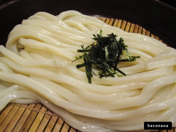もっちりしたうどんの盛り付け