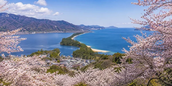 桜と砂州の絶景パノラマ