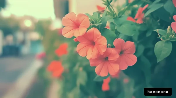 花の美しさと鮮やかさ