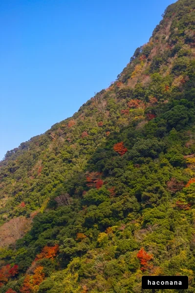 秋の山の風景