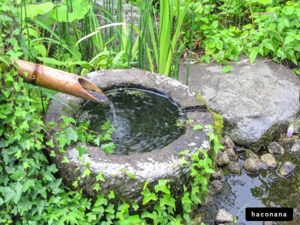 自然の水源と緑の風景
