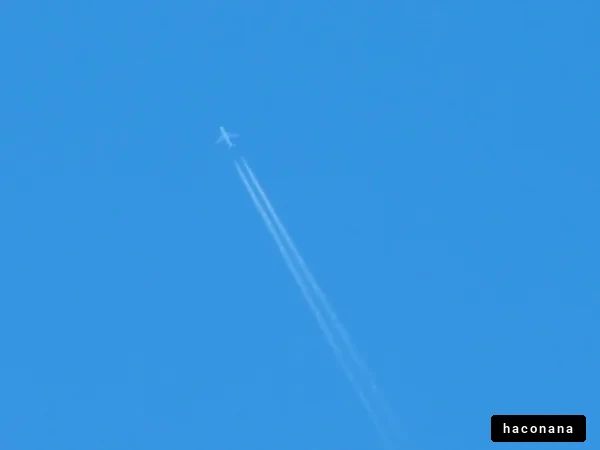 青空を飛ぶ飛行機の姿