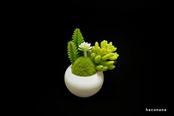 観葉植物のミニアレンジメント