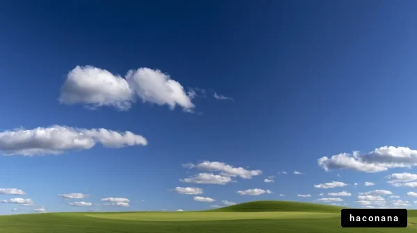 青空と緑の丘