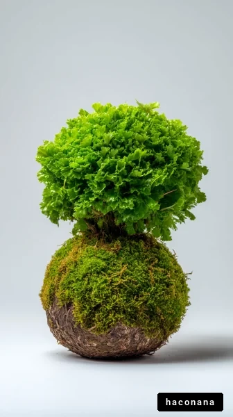 美しい緑の球形植物