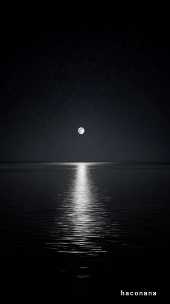 夜空に浮かぶ月の美