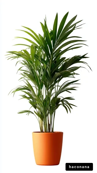 緑豊かな観葉植物
