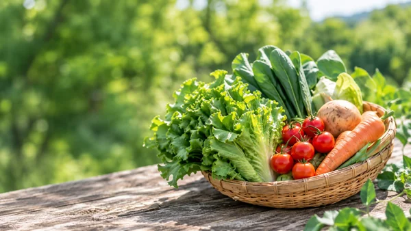 新鮮野菜の盛りかご・自然背景