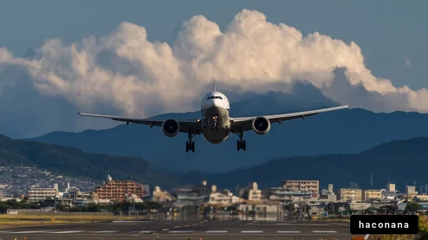 空港に着陸する飛行機