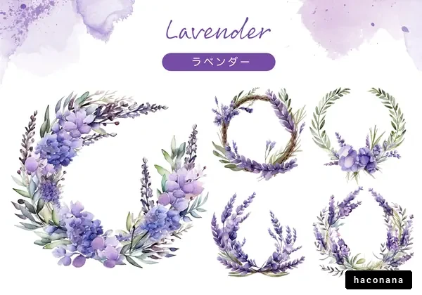 ラベンダーの花輪 ラベンダーの花輪