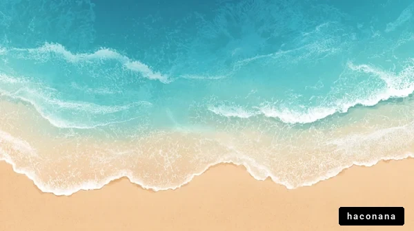 美しい海と砂浜の風景