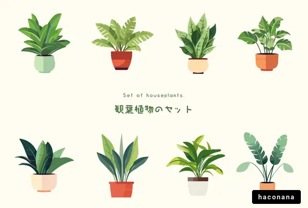 観葉植物のセット