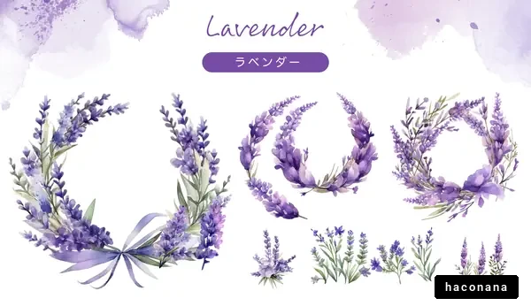 美しいラベンダーの花束 美しいラベンダーの花束