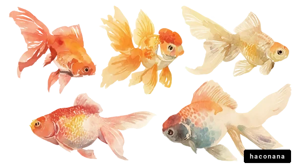 美しい金魚の水彩画 美しい金魚の水彩画