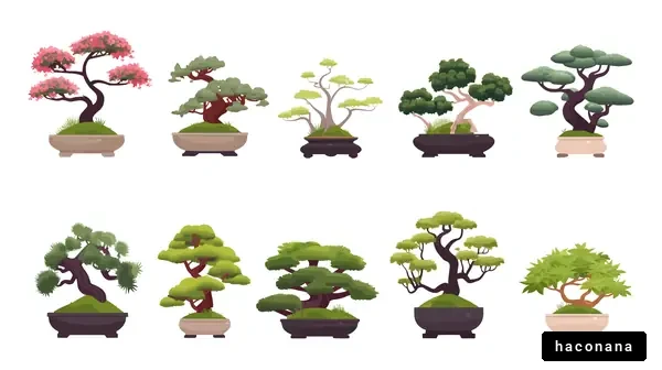 さまざまな盆栽のデザイン