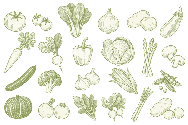 野菜イラストセット