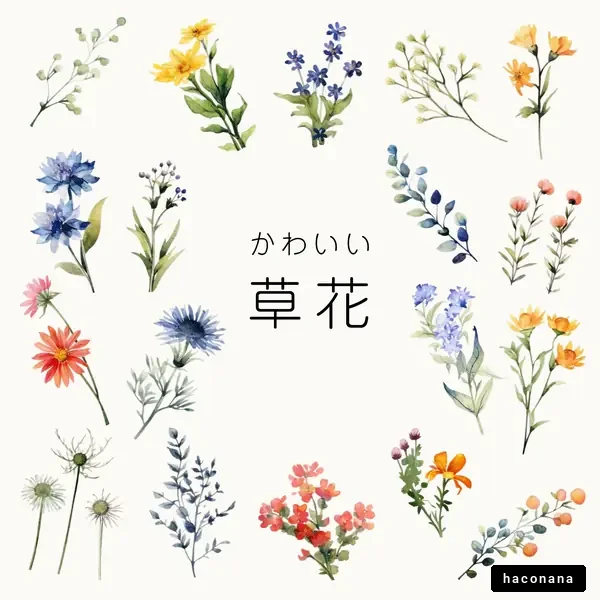 かわいい草花のイラストセット かわいい草花のイラストセット