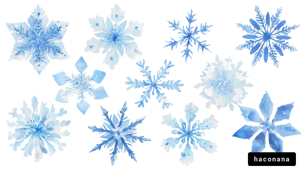 冬の美しい雪の結晶 冬の美しい雪の結晶