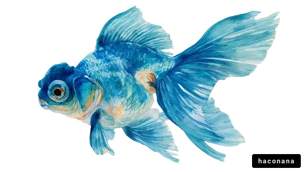鮮やかな金魚の水彩画 鮮やかな金魚の水彩画