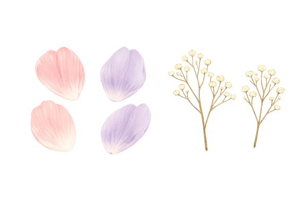 花びらとかすみ草のイラスト素材