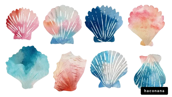 水彩シェルのデザイン 水彩シェルのデザイン