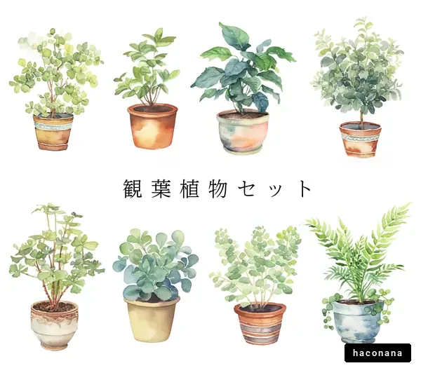 観葉植物のセット