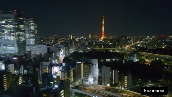 東京の夜景と交通