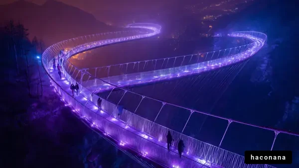 夜の紫色の吊り橋