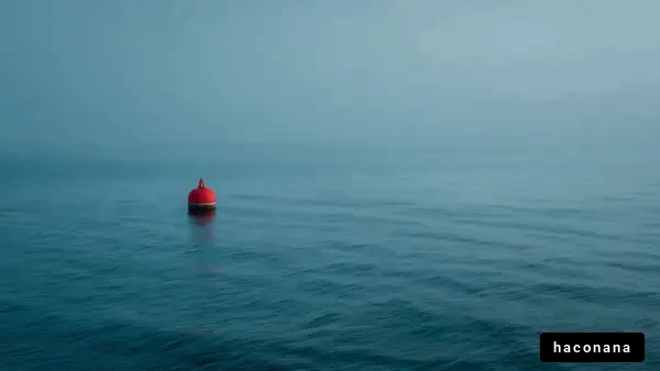 静かな海に浮かぶブイ