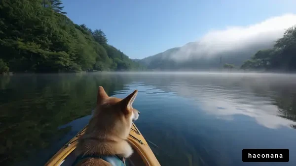 犬と湖の美しい風景