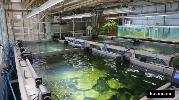 水槽のある水族館の内部