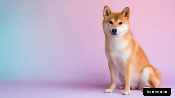 可愛らしい犬のポートレート